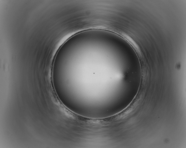 X0000091550956200708171303