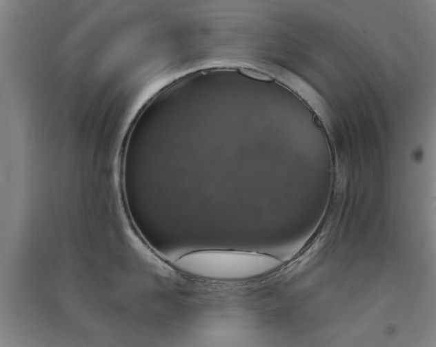 X0000091550958200708171303