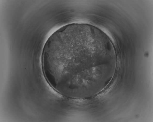 X0000091550959200708171303