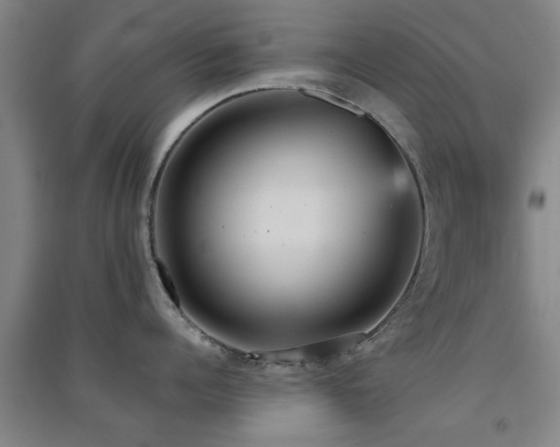 X0000091550960200708171303
