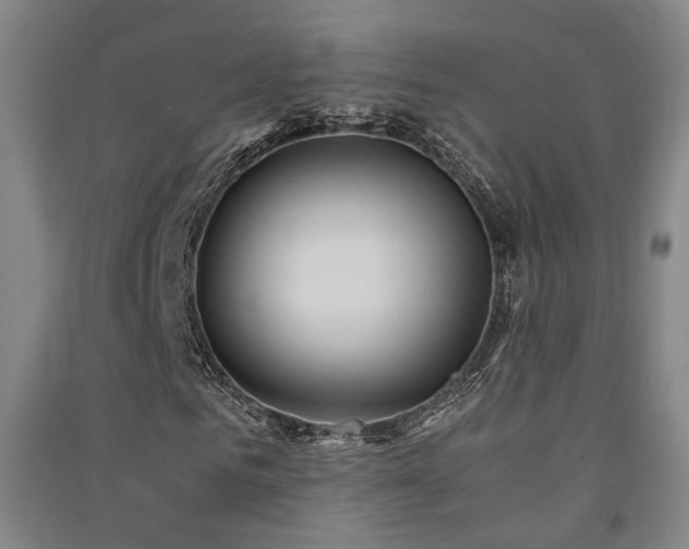 X0000091550961200708171302