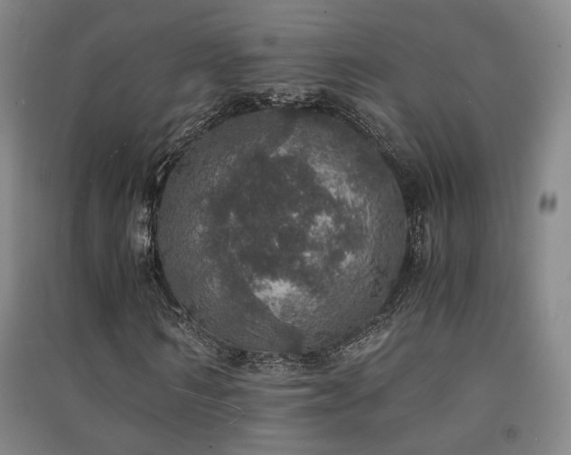 X0000091550962200708171302