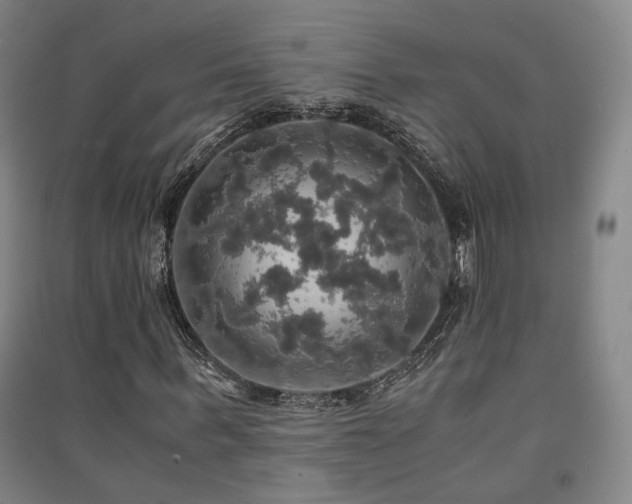X0000091550963200708171302