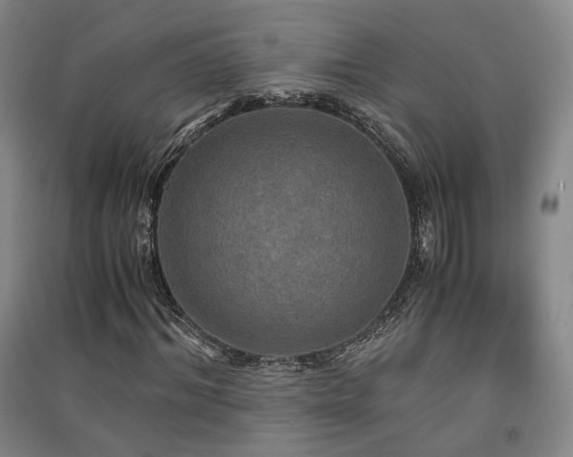 X0000091550964200708171302