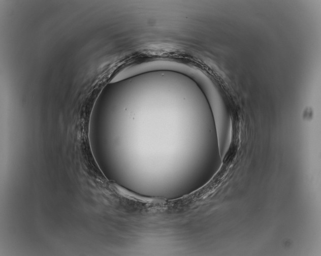 X0000091550965200708171302
