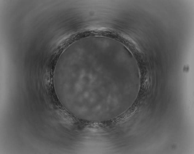X0000091550966200708171302
