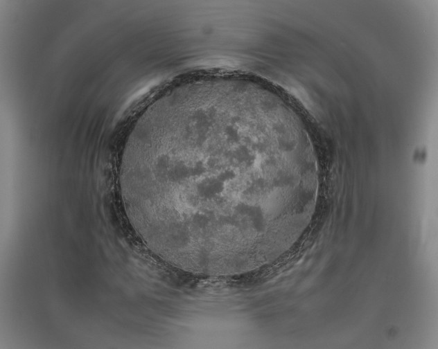 X0000091550967200708171302