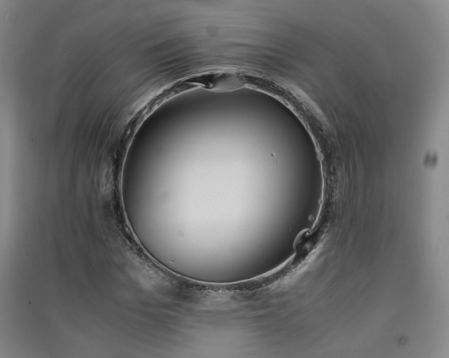 X0000091550969200708171302