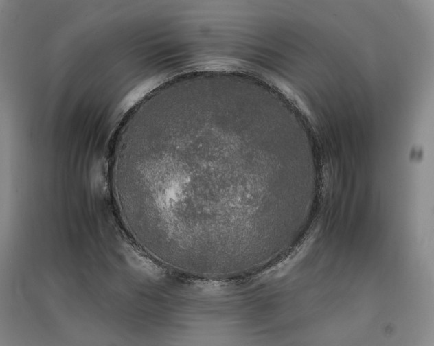 X0000091550970200708171302