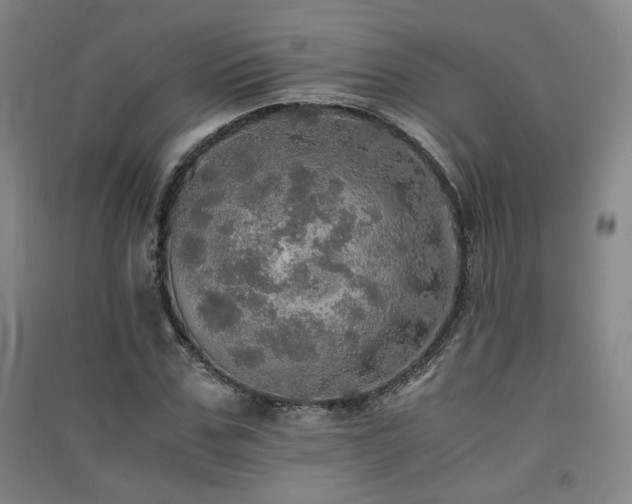X0000091550971200708171302