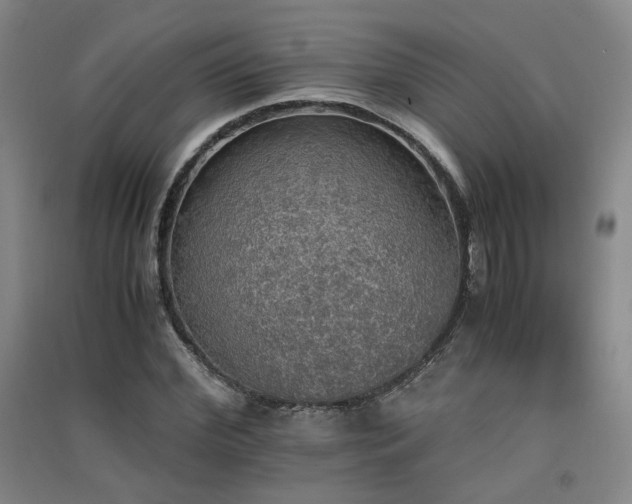 X0000091550972200708171302
