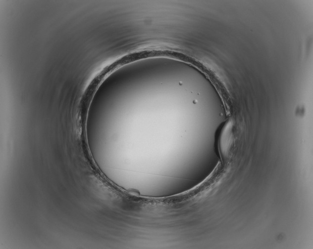 X0000091550973200708171302