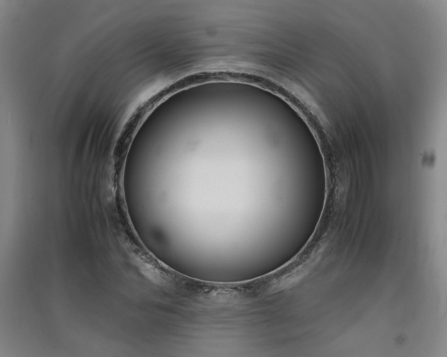X0000091550974200708171302