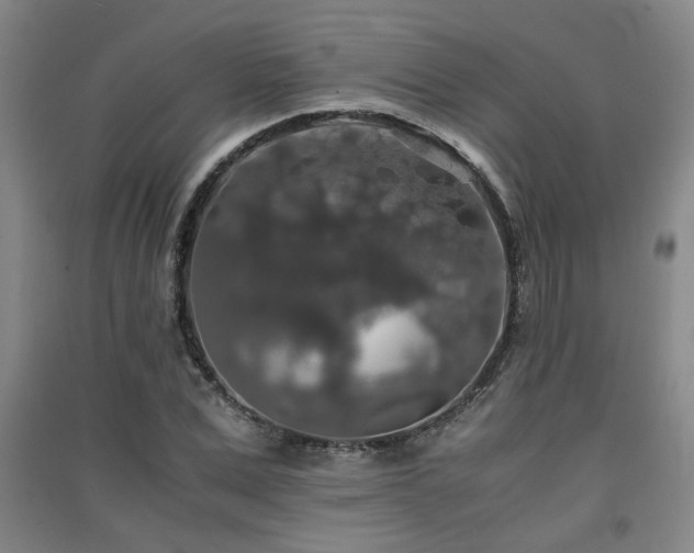 X0000091550975200708171302