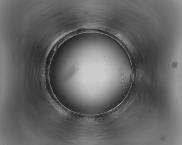 X0000091550976200708171302