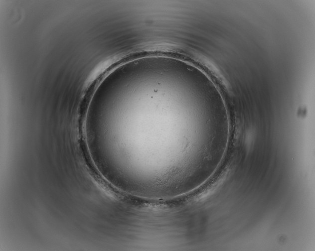 X0000091550978200708171302