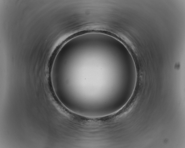 X0000091550981200708171302