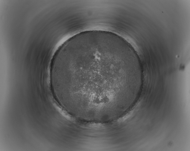 X0000091550982200708171302