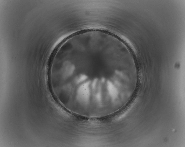 X0000091550983200708171302