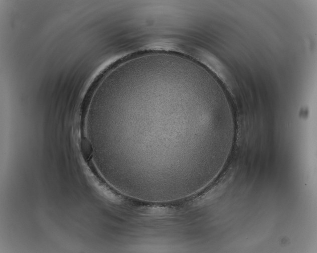 X0000091550984200708171302