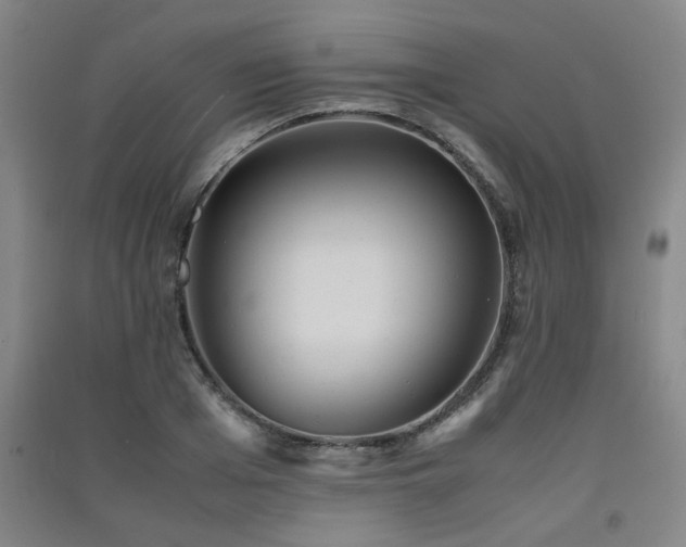 X0000091550985200708171302