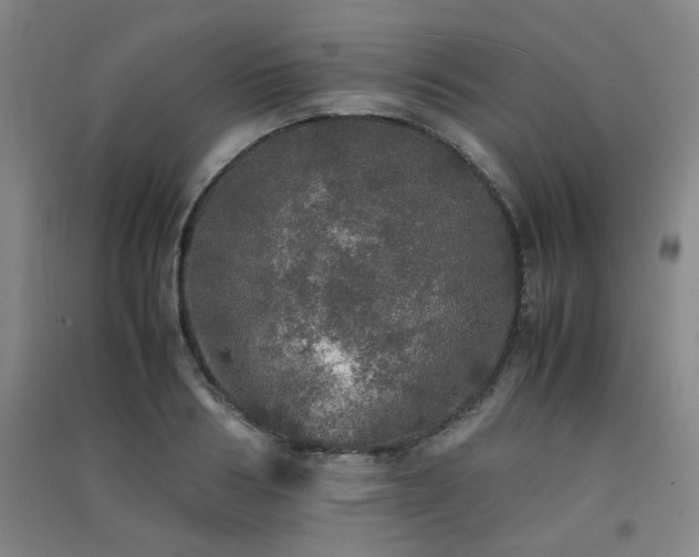 X0000091550986200708171302