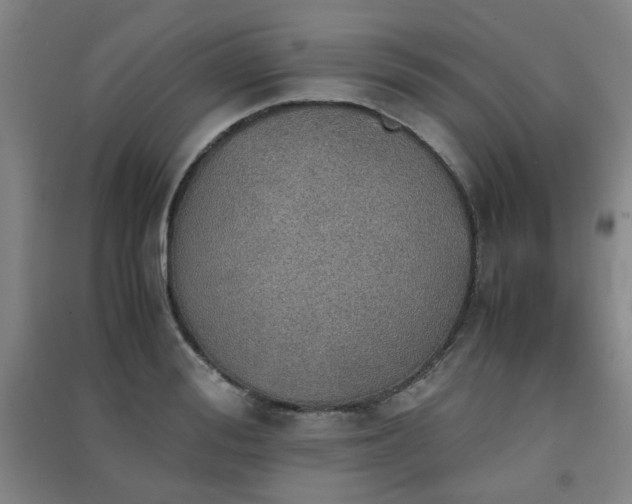 X0000091550988200708171302
