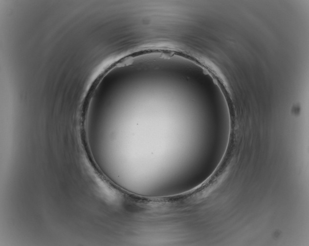 X0000091550989200708171302