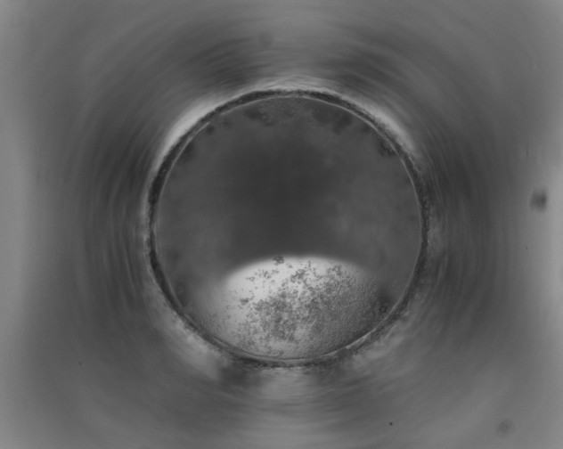 X0000091550990200708171302
