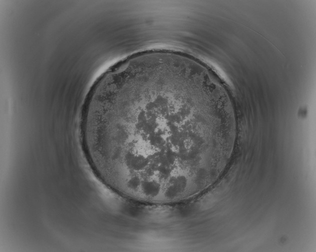 X0000091550991200708171302