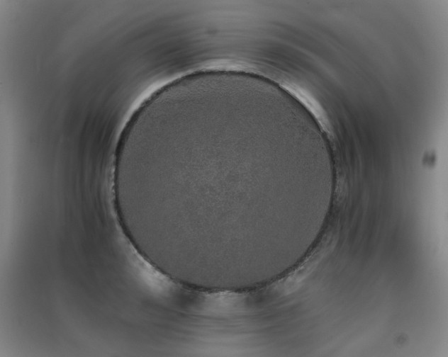 X0000091550992200708171302