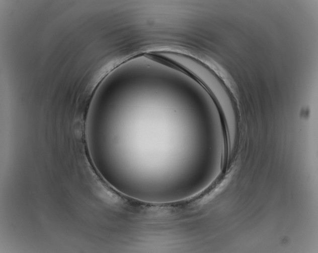 X0000091550993200708171302