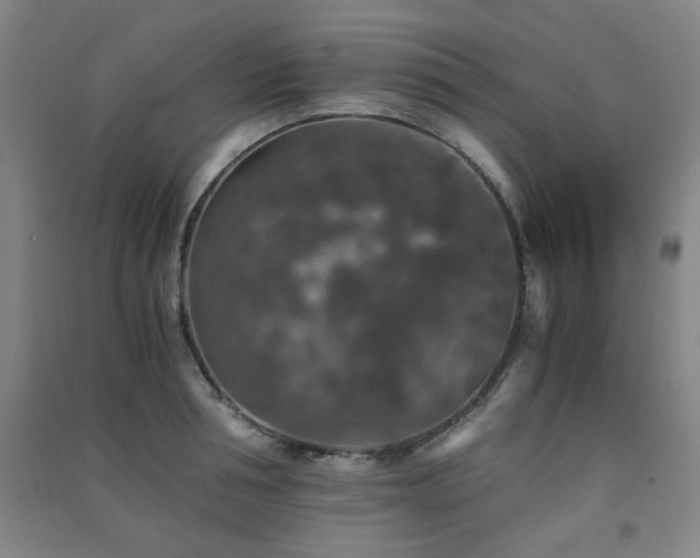 X0000091550994200708171302