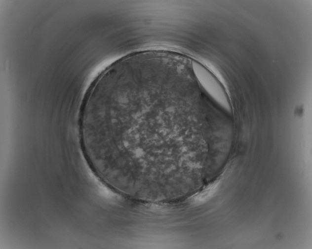 X0000091550995200708171302