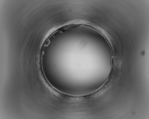 X0000091550997200708171302