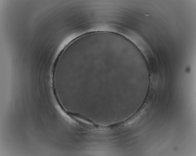 X0000091550998200708171302