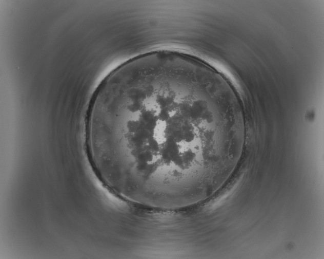 X0000091550999200708171302
