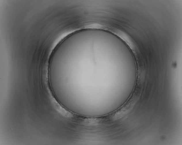X0000091551000200708171302