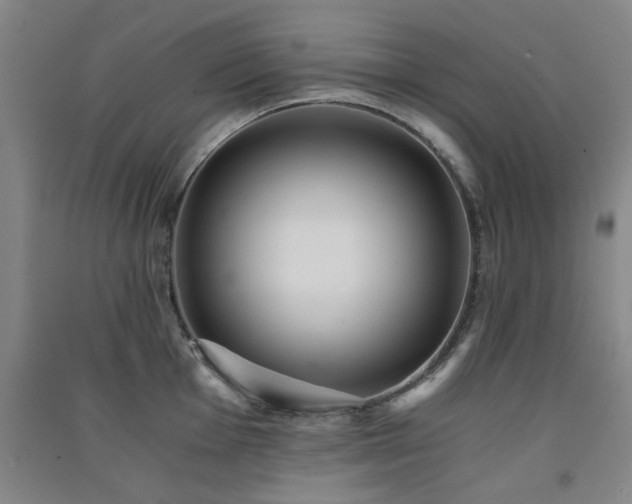 X0000091551001200708171302