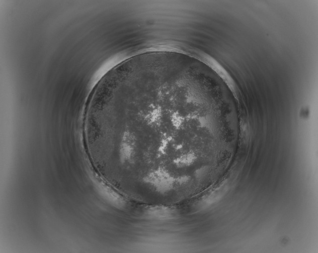 X0000091551002200708171302