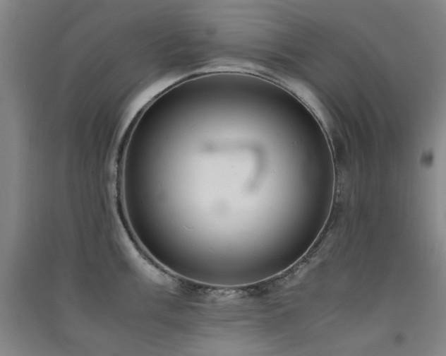 X0000091551003200708171302