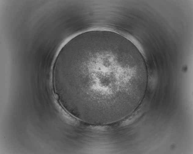 X0000091551004200708171302