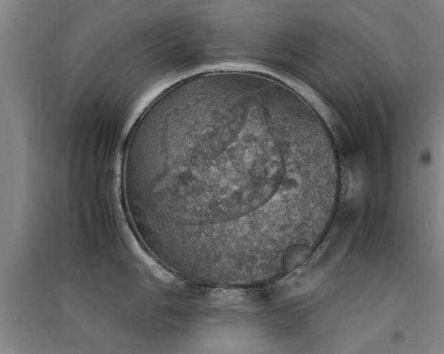 X0000091551006200708171302