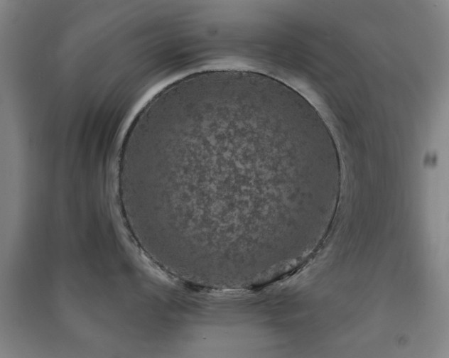 X0000091551008200708171302