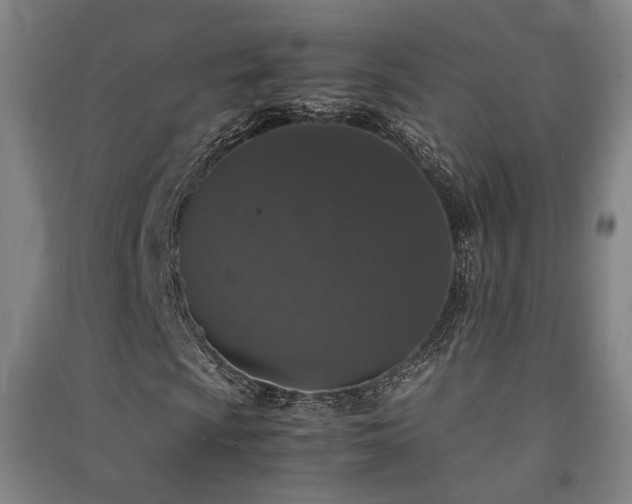 X0000091551009200708171301
