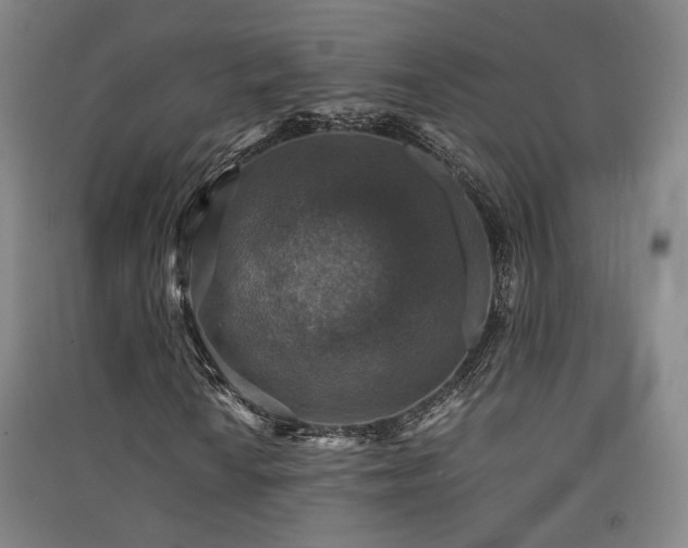 X0000091551010200708171301