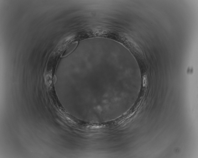 X0000091551011200708171301