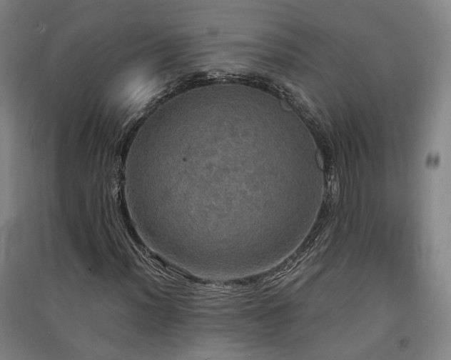 X0000091551012200708171301