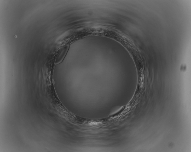 X0000091551013200708171301