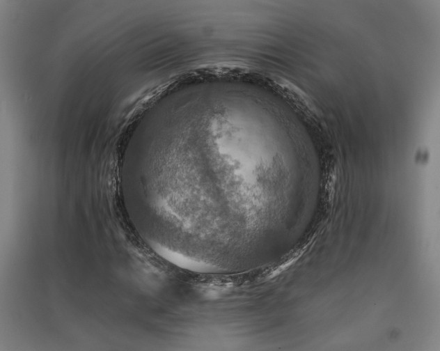 X0000091551014200708171301